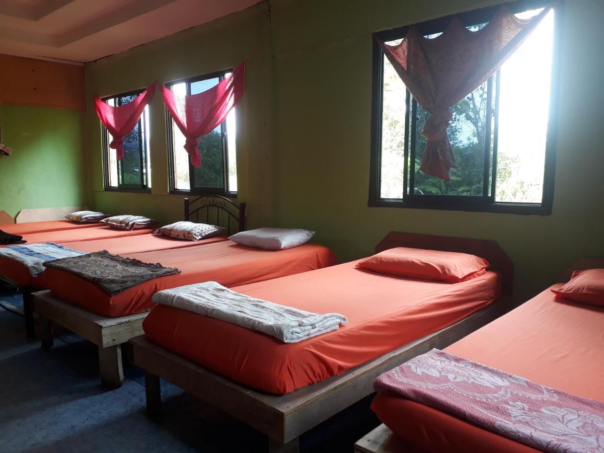 Mulu D Cave Homestay Luaran gambar